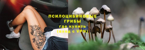 хмурый Алзамай
