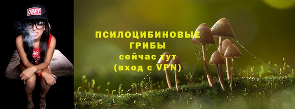 стаф Алексеевка