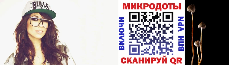Галлюциногенные грибы мухоморы  Кирс 